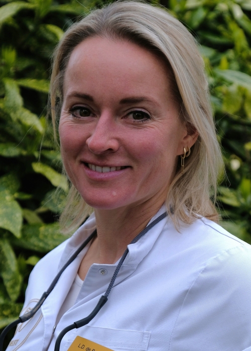 L.D.  de Bruyn &ndash; Kho